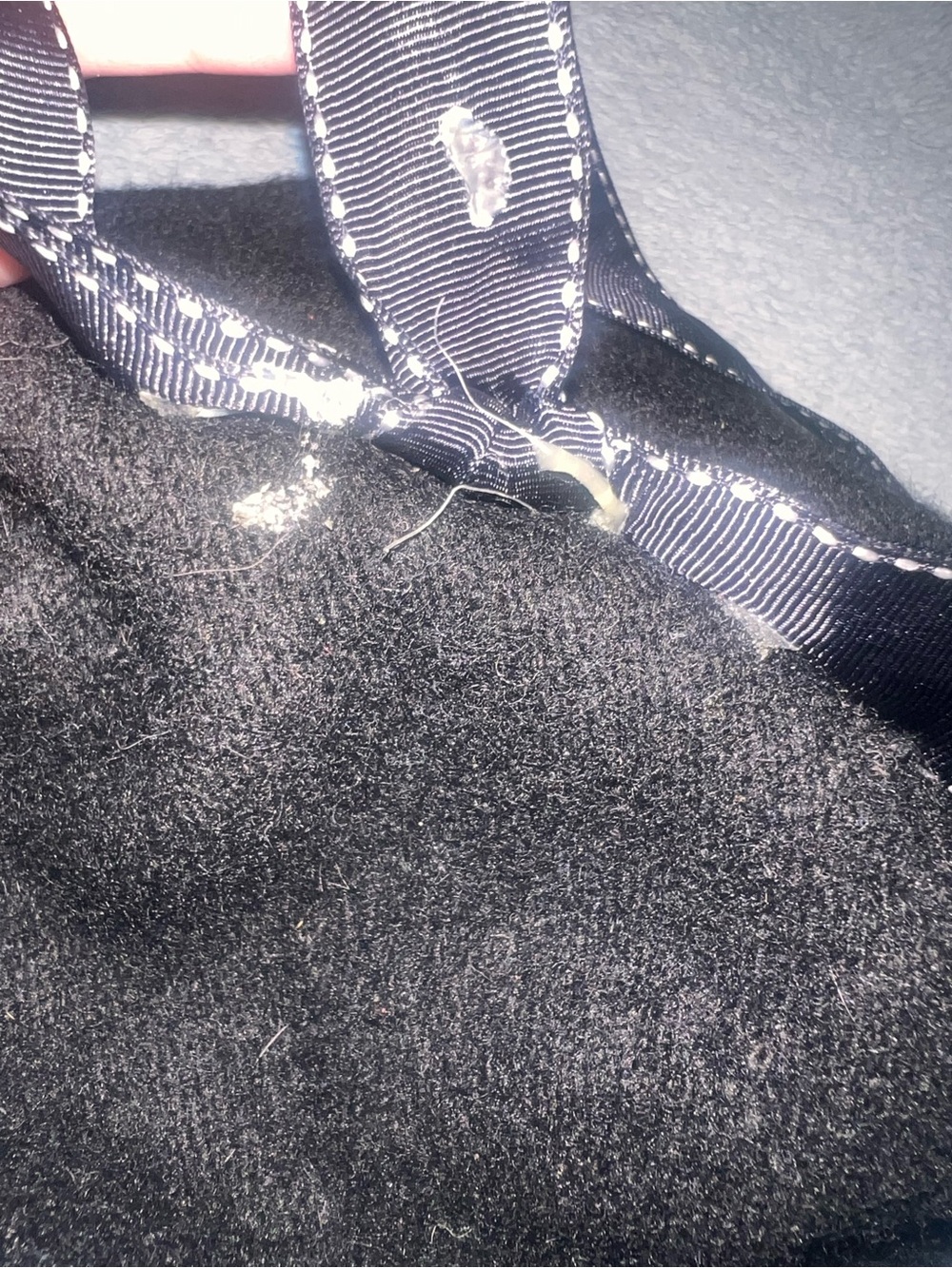 Black Bow Beret - Picture 7 of 8